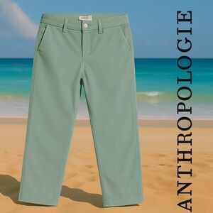 New Anthropologie Sky Blue Pants